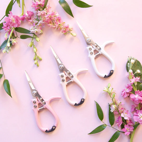 Pruning Shears