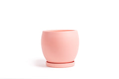 12" Bollé Pot with Water Saucer