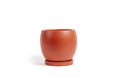 12" Bollé Pot with Water Saucer