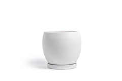 12" Bollé Pot with Water Saucer