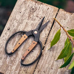 Small Garden Scissors - Barebones