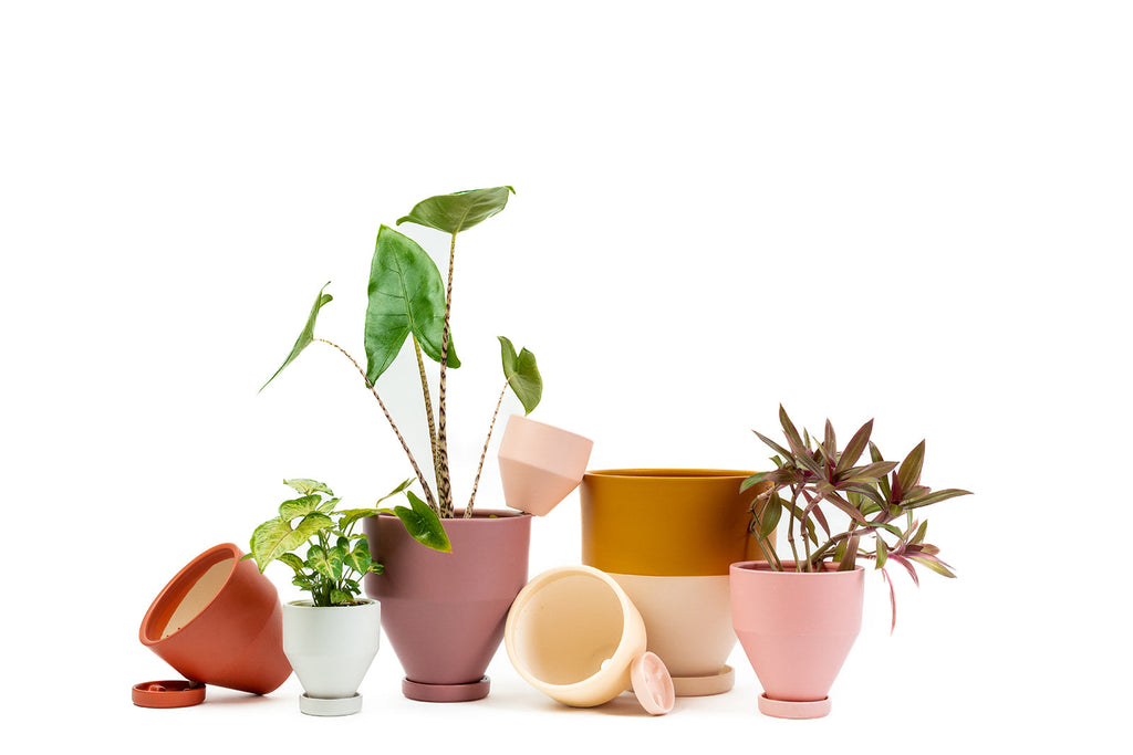 water plant pots for sale SALE* 6.5" Jouet Pot with Water Saucer $15.00 – Momma Pots