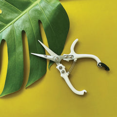 Pruning Shears