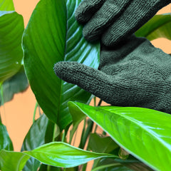 Leaf Cleaning Gloves - We The Wild