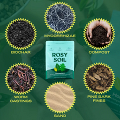 House Plant Mix Ingredients: Biochar, Worm Castings, Sand, Pine Bark Fines, Compost, Mycorrhizae.