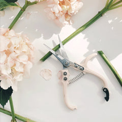 Pruning Shears