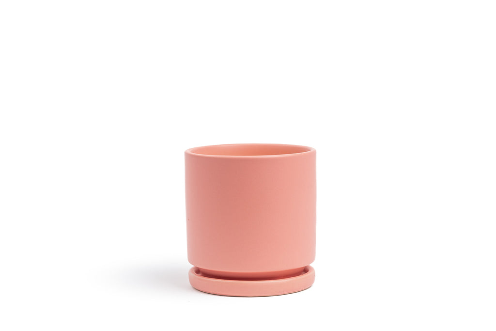 Small Terracotta Cylinder Pot and Saucer