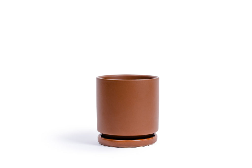 Limited Release - 6.5" Gemstone Cylinder Pot with Water Saucer
