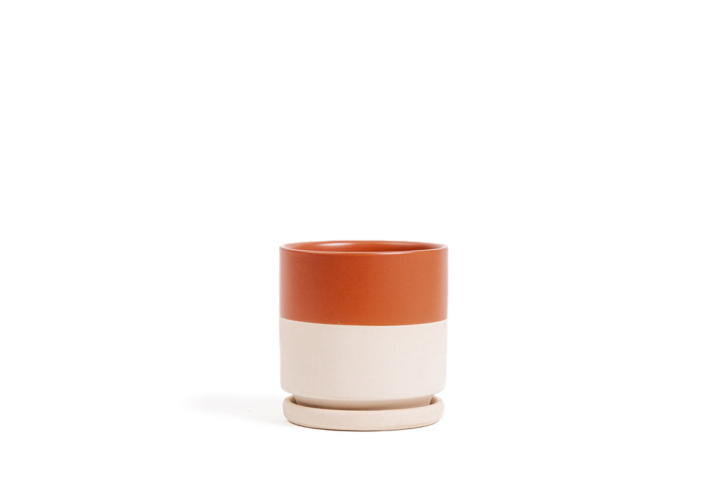 Limited Release - 6.5" Gemstone Cylinder Pot with Water Saucer